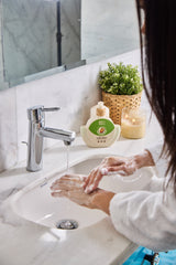 Pistachio & Magnolia - Hand Wash